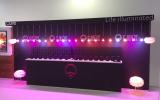 Custom Exhibit Booth For Life Illumination