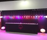 Custom Exhibit Booth For Life Illumination