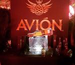 Avion Tequila VIP Lounge